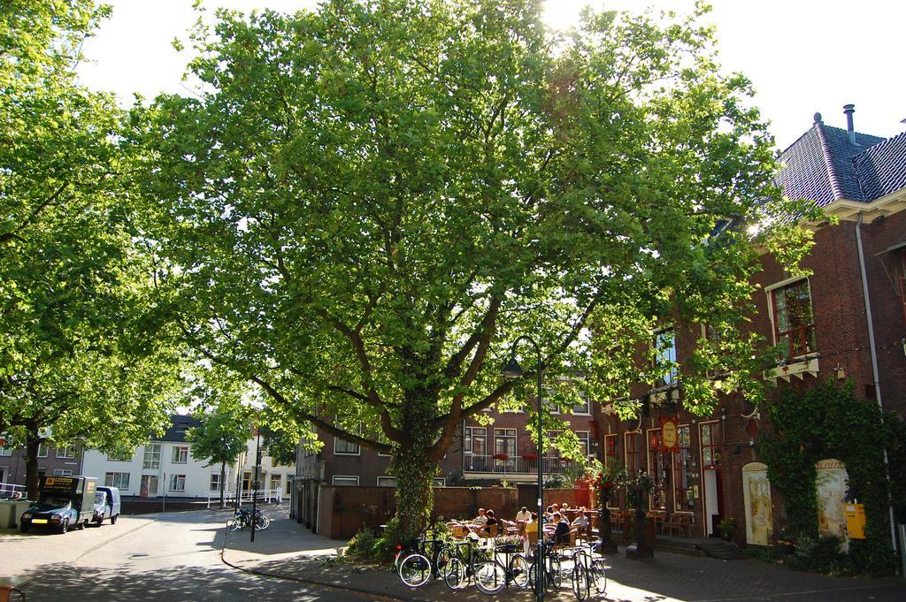 De Plataan Centrum Hotel